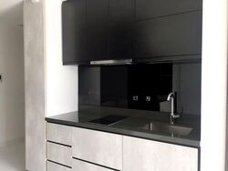 The Rise @ Oxley (D9), Condominium #562081511